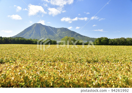 Shoot the scenery of soybean fields and Mt. Shiribetsu in early autumn in Kyogoku-cho, Hokkaido 94261992