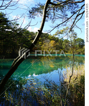福島縣五色沼湖紅葉 94264305