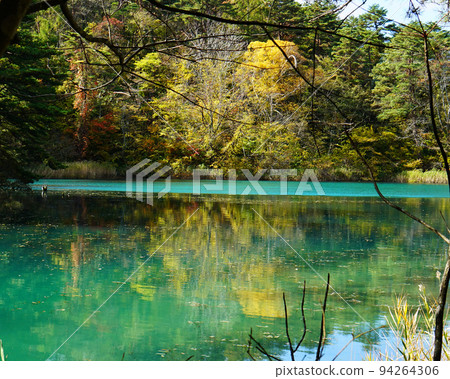 福島縣五色沼湖紅葉 福島縣五色沼湖紅葉 94264306