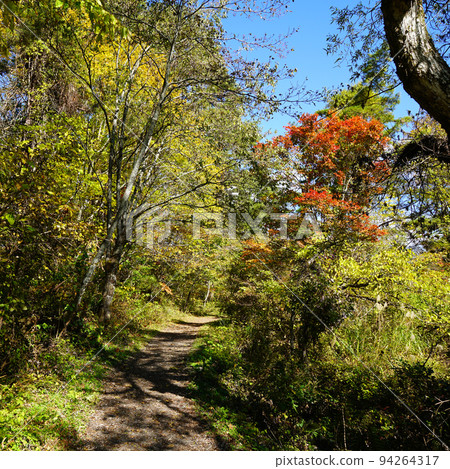 Goshikinuma Lake, Fukushima Prefecture, Autumn Leaves 94264317