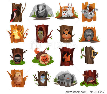 Forest Animals Sitting in Tree Hollow and Burrow as Woodland Home Vector Set 94264357