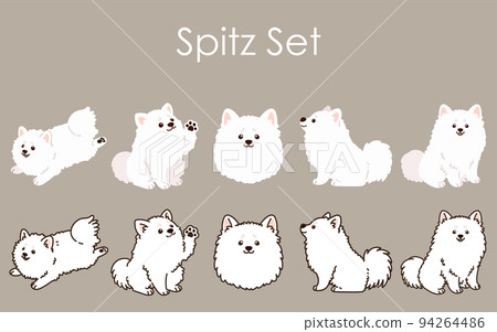 有和沒有主線的簡單可愛的白色斯皮茨插圖集 94264486