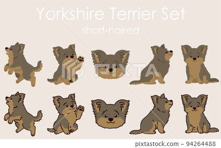 Simple and cute Yorkshire Terrier illustration set with/without main line Simple and cute Yorkshire Terrier illustration set with/without main line 94264488
