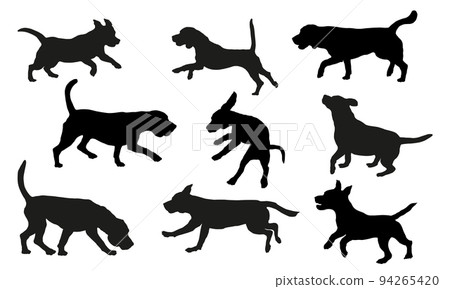 Group of english beagles in various poses. Pets. 94265420
