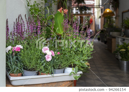 Plants for sale in floral shop. Herbs and flowers at greenhouse market. Many plants in pots for sale outside flower shop. Plants for sale in floral shop. Herbs and flowers at greenhouse market. Many plants in pots for sale outside flower shop. 94266154