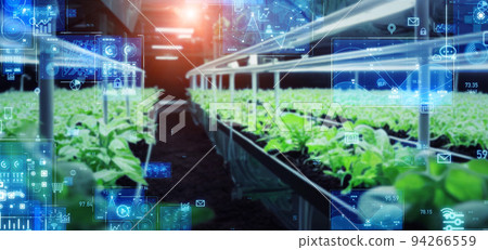 植物工廠圖像橫幅和廣告的水平視覺 94266559