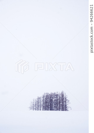 北海道的雪景 北海道的雪景 94266621