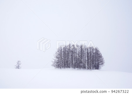 snow scene in Hokkaido snow scene in Hokkaido 94267322