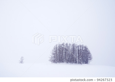 snow scene in Hokkaido snow scene in Hokkaido 94267323