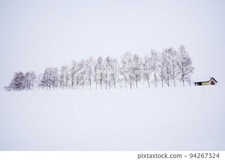 snow scene in Hokkaido snow scene in Hokkaido 94267324