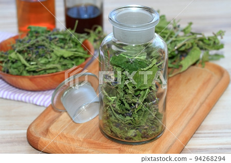 Making tincture from dried Scutellaria lateriflora, known as  blue skullcap or mad dog skull cap 94268294