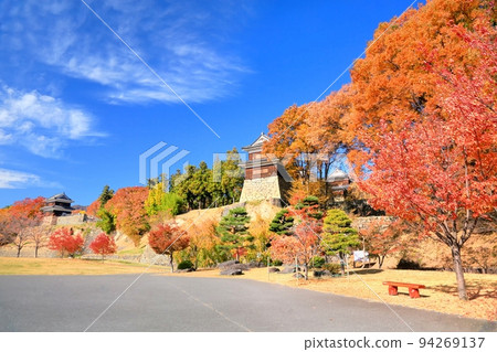 Autumn leaves of Ueda castle 94269137