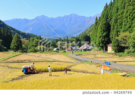 Hakuba Village Aoni Autumn Rice Terraces and the Northern Alps 94269749