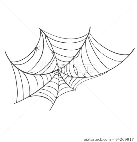 Vector Spider web icon drawn in one line on white for halloween. 94269917