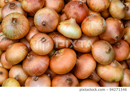 Photography on theme beautiful onion vegetable plant Photography on theme beautiful onion vegetable plant 94271346