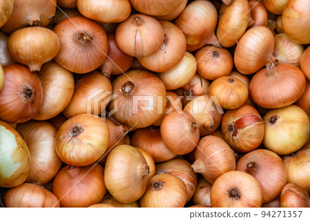 Photography on theme beautiful onion vegetable plant 94271357