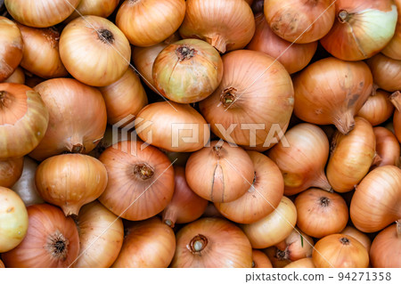 Photography on theme beautiful onion vegetable plant Photography on theme beautiful onion vegetable plant 94271358