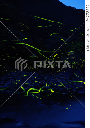 源氏螢火蟲2022 94272222