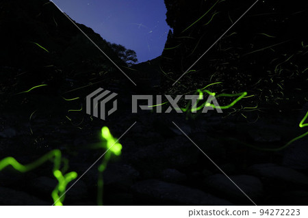 Genji Firefly 2022 94272223