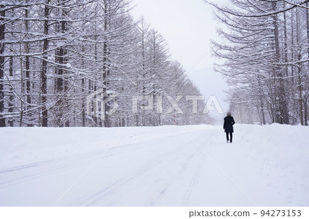 snow scene in Hokkaido 94273153