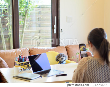 A woman who takes a picture of her dog with a smartphone Toy Poodle Home time SNS posting A woman who takes a picture of her dog with a smartphone Toy Poodle Home time SNS posting 94273686