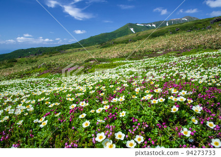 大雪山脈天空花園 94273733