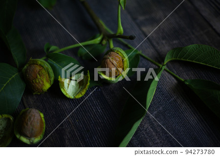 Unripe walnut fruits on a branch with leaves 94273780