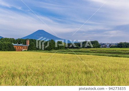 (Shizuoka Prefecture) Mt. Fuji over the golden rice terraces (Shizuoka Prefecture) Mt. Fuji over the golden rice terraces 94273835