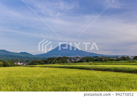 (Shizuoka Prefecture) Mt. Fuji over the golden rice terraces (Shizuoka Prefecture) Mt. Fuji over the golden rice terraces 94273852