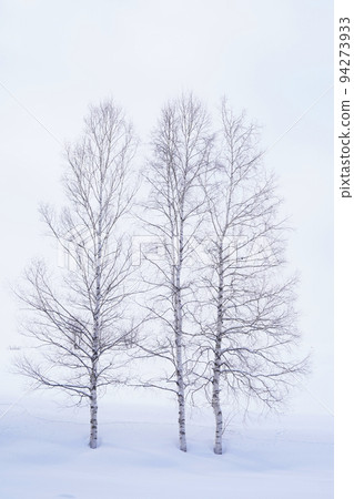 北海道的雪景 94273933