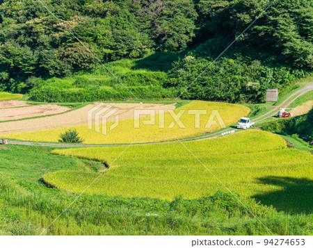 栃木縣茂木町收割附近的北關東地區石畑梯田的收穫風光 94274653