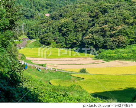 Harvest scenery in the northern Kanto region Ishihata terraced rice fields near harvest in Motegi-cho, Tochigi Prefecture Harvest scenery in the northern Kanto region Ishihata terraced rice fields near harvest in Motegi-cho, Tochigi Prefecture 94274654