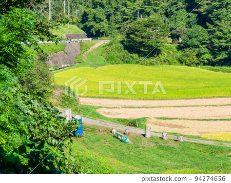 栃木縣茂木町收割附近的北關東地區石畑梯田的收穫風光 94274656