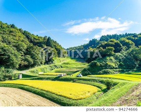 栃木縣茂木町收割附近的北關東地區石畑梯田的收穫風光 94274666