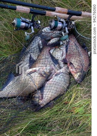 Keepnet with big freshwater common breams fish and fishing rod with reel on natural background.. 94276060