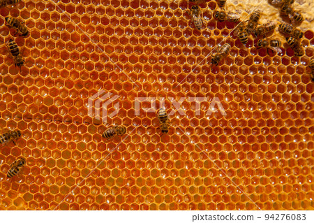 Working bees on the yellow honeycomb with sweet honey.. Working bees on the yellow honeycomb with sweet honey.. 94276083