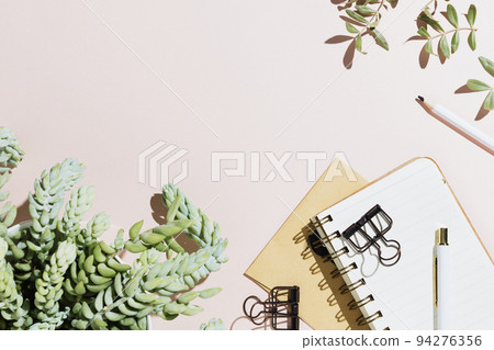 Minimalist flatlay with various notebooks, pen and sedum succulent on pastel background with copyspace Minimalist flatlay with various notebooks, pen and sedum succulent on pastel background with copyspace 94276356