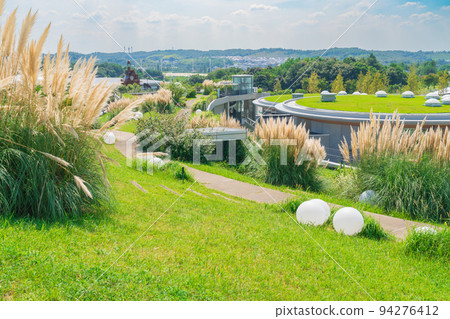 Aichi Expo Memorial Park, Pampas grass in full bloom <Nagakute City, Aichi Prefecture> 94276412