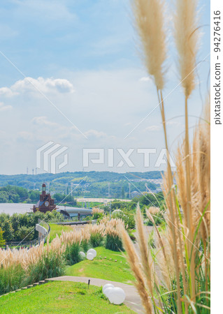 愛知世博紀念公園，盛開的蒲葦<愛知縣長手市> 94276416