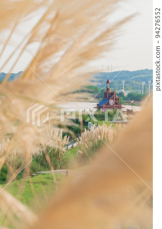 Aichi Expo Memorial Park, Pampas grass in full bloom <Nagakute City, Aichi Prefecture> 94276552