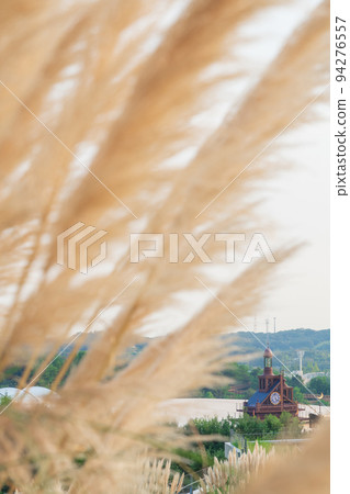 愛知世博紀念公園,盛開的蒲葦<愛知縣長手市> 愛知世博紀念公園,盛開的蒲葦<愛知縣長手市> 94276557