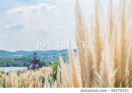 Aichi Expo Memorial Park, Pampas grass in full bloom <Nagakute City, Aichi Prefecture> 94276581