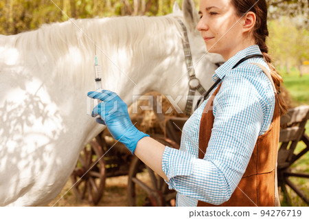 A young beautiful female vet inspects a white horse. Love, medicine, pet care, trust, happiness, health. A girl vaccinates a horse. syringe, vaccine, disease protection 94276719
