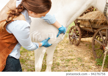 A young beautiful female vet inspects a white horse. Love, medicine, pet care trust, happiness health. shoulder, sprain, ligament, muscle. Pain sickness unhappiness A young beautiful female vet inspects a white horse. Love, medicine, pet care trust, happiness health. shoulder, sprain, ligament, muscle. Pain sickness unhappiness 94276756