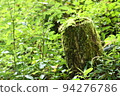 青苔樹樁 94276786