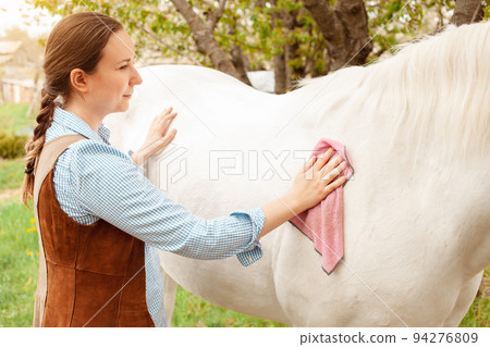 A beautiful young woman cleans a white horse. Pink rag, microfibre to clean wool. Dirty grooming. Care pet, love, friendship, trust, happiness. Nature, green grass, outdoor. Paddock ranch A beautiful young woman cleans a white horse. Pink rag, microfibre to clean wool. Dirty grooming. Care pet, love, friendship, trust, happiness. Nature, green grass, outdoor. Paddock ranch 94276809