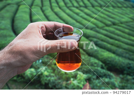 hand holding a traditional glass of Turkish black tea with rows of tea plantations on terraced hills in the background hand holding a traditional glass of Turkish black tea with rows of tea plantations on terraced hills in the background 94279017