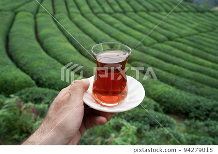 hand holding a traditional glass of Turkish black tea with rows of tea plantations on terraced hills in the background 94279018