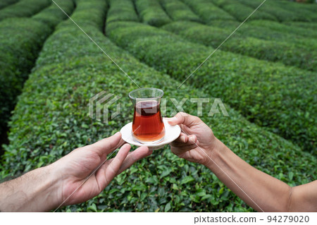 two people enjoying a traditional glass of Turkish black tea with rows of tea plantations on terraced hills in the background two people enjoying a traditional glass of Turkish black tea with rows of tea plantations on terraced hills in the background 94279020
