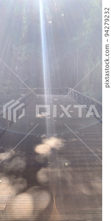 wooden path illuminated by light 94279232